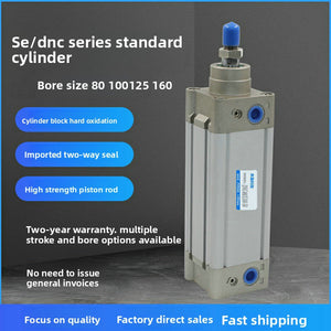 SE100X160 Standard Cylinder DNC80X25X50X100X125X150X200X250X450/500-S